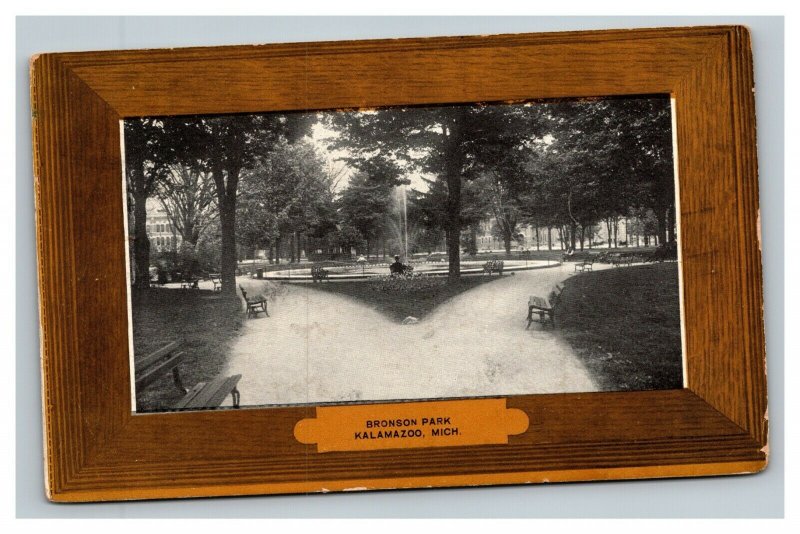 Vintage 1910's Postcard Fountain and Grounds Bronson Park Kalamazoo