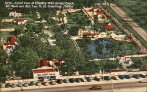 St Petersburg Florida Wild Animal Ranch Aerial View c1930-50s Vintage Postcard