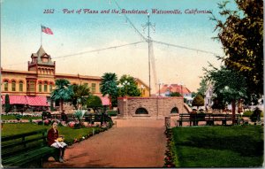 Vtg 1910s Part of Plaza and the Bandstand Watsonville California CA Postcard