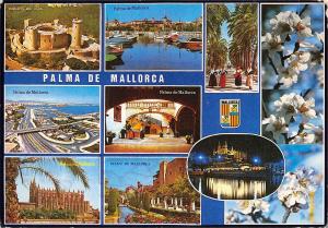 BF1684 palma de mallorca  Spain