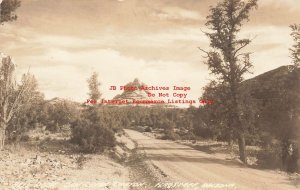 AZ, Flagstaff, Arizona, RPPC, Oak Creek Canyon, Photo