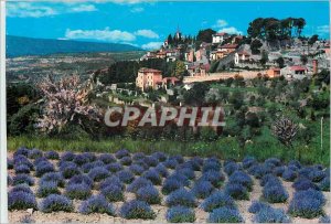 Postcard Modern Provence Old Village and Lavender Field