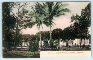 COLIMA, MEXICO  Handcolored JARDIN NUÑEZ ca 1910s   Postcard