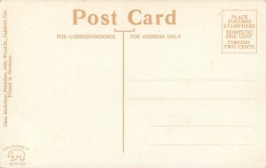 Vintage Postcard L.A. Thompson Scenic Railway Building Idora Park Oakland CA