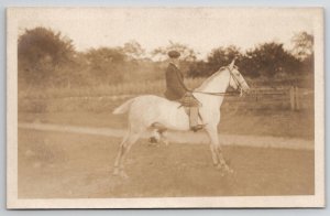 RPPC Dapper Man on Beautiful White Horse Posing for Photo Cute Dog Postcard H30