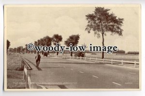 tp8962 - Great North Road , Doncaster Racecourse , Yorkshire - postcard