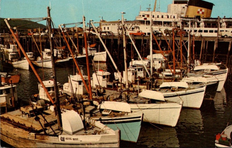 Canada Nova Scotia The Digby Scallop Fleet