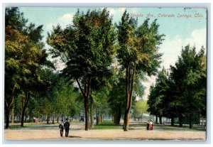 1910 Nevada Avenue Trees Scene Colorado Springs Colorado CO Posted Tree Postcard