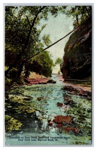 Glen and Vermillion River Deer Park Illinois IL UNP DB Postcard T3