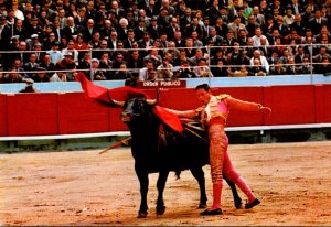 El Cordobes Bull Fight Matador and Bull