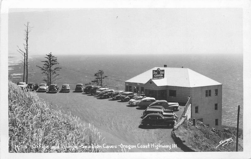 Oregon Coast Hwy 101 Sea Lion Caves Sawyers 1950s RPPC Photo Postcard 21-5980