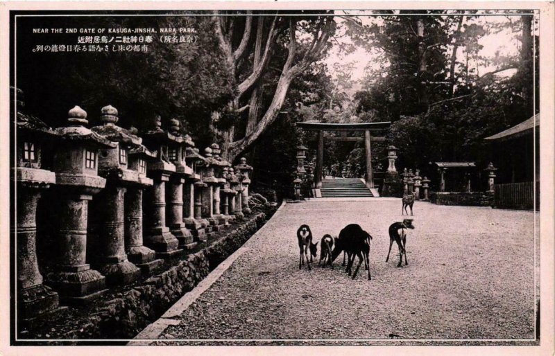 CPA AK Near the 2nd gate of Kasuga-Jinsha Nara Park JAPAN (724554)