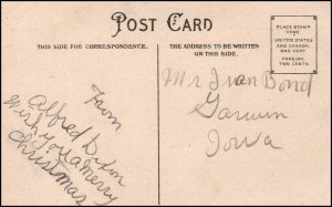 Christmas Holly Scene