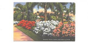 Beautiful Azalea Gardens and Palm Trees in Florida, Used Leesburg 1958