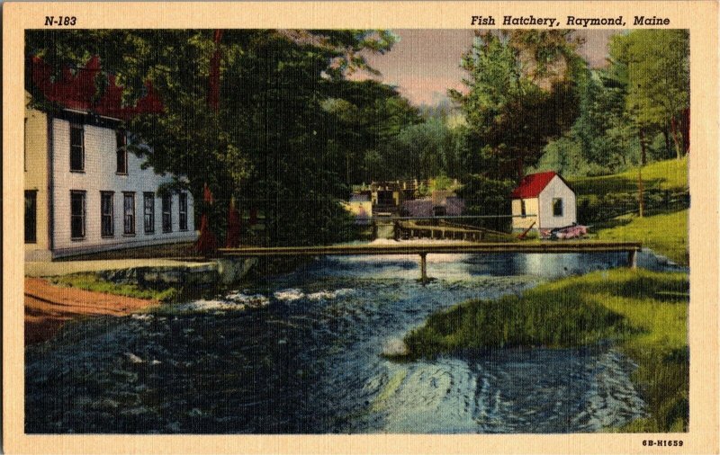 View of Fish Hatchery, Raymond ME Vintage Linen Postcard O19