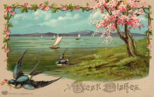 Vintage Postcard 1912 Best Wishes Greetings View of Birds Boats Sea Water Trees