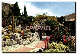 Modern Postcard Eze Village The Exotic Garden Cactus