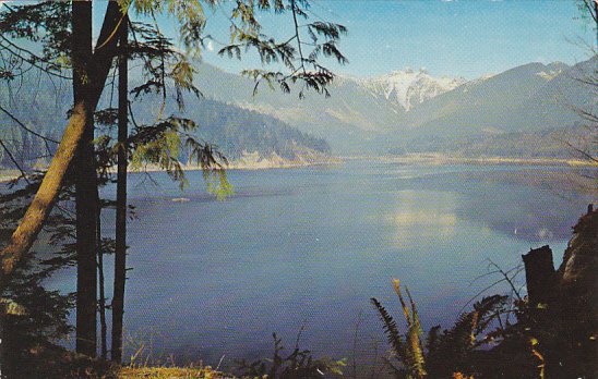 Canada The Lions from Cleveland Dam Vancouver British Columbia