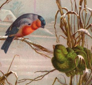 1880s S.H. Starin Hosiery Underwear & Yarn Winter Birds & Nests Lot Of 2 #7D