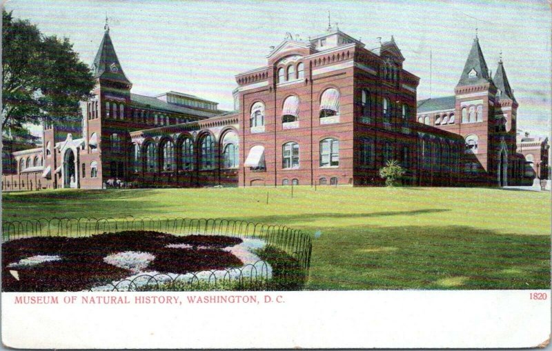 1905 Washington DC Museum of Natural History Smithsonian Postcard GF