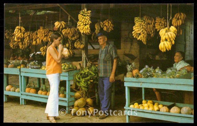 Tipica fruteria al borde del camino, con abundancia de frutas tropicales.