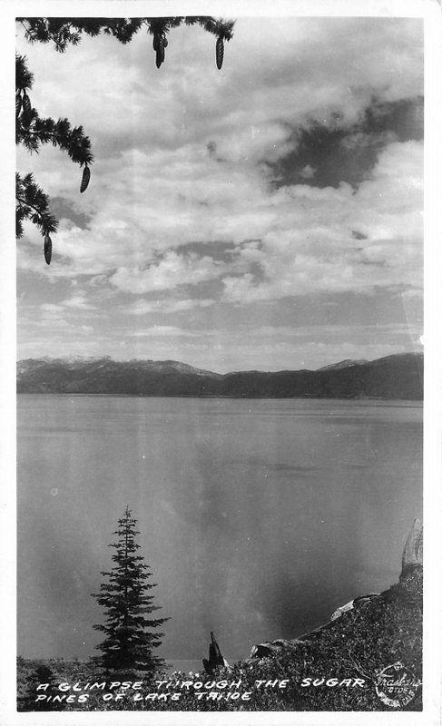 Glimpse Sugar Pines 1940s Frasher Lake Tahoe California RPPC real photo 2321