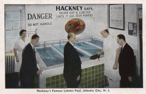 11429 Hackney's Famous Lobster Pool, Atlantic City, N.J.