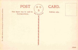 Botanic Gardens Sydney NSW Australia 1910c postcard