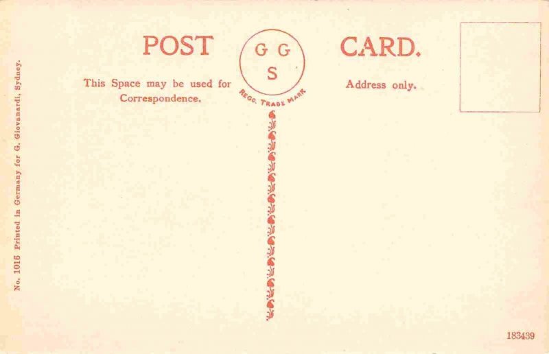 Botanic Gardens Sydney NSW Australia 1910c postcard