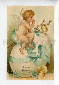 3160515 EASTER Winged ANGEL Nude CHICKENS & Huge EGG vintage PC