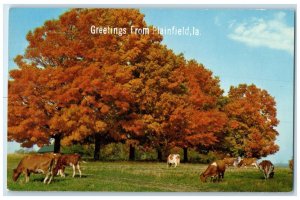 c1960 Greetings From Down On The Farm Plainfield Iowa Vintage Antique Postcard