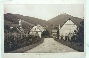 Early Antique Postcard Orschwiller Vue Sur Le Haut Koenigsbourg Town View Alsace