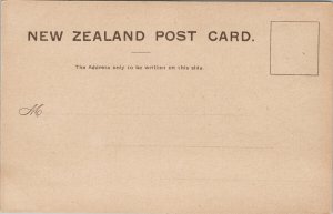 Balclutha New Zealand NZ From North Side of River Unused Postcard E71