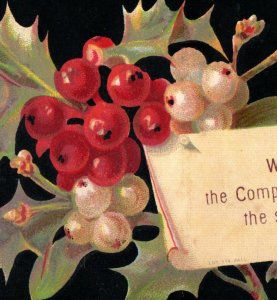 1870s-80s Marcus Ward & Co. Christmas Card Holly Berries P139