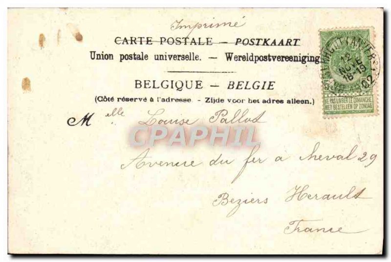 Old Postcard Antwerp Kattendyk Charter