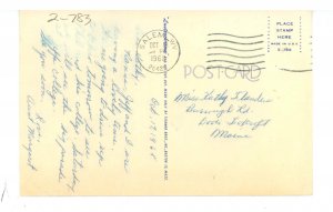 Horses/Equine - Peaceful Afternoon Grazing