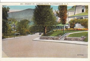 Vintage Postcard Pigeon St Waynesville NC