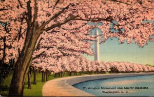 Washington D C Washington Monument and Cherry Blossoms 1941