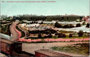 Postcard Southern Pacific Railroad Train and Grounds in Santa Monica, California