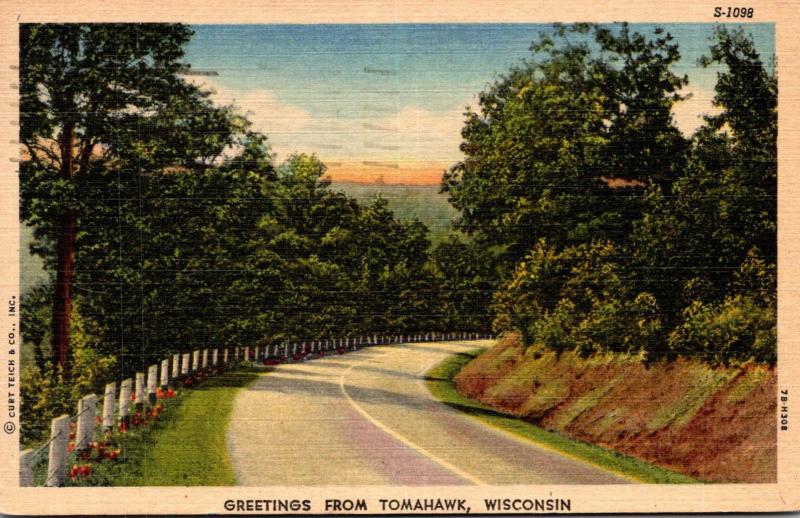 Wisconsin Greetings From Tomahawk 1955 Curteich