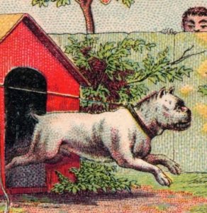 1880s Clark's Mile-End Spool Cotton Cute Bull Dog Cat Bone & Child F164