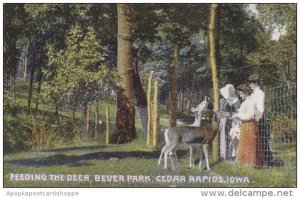 Iowa Cedar Rapids Feeding The Deer Bever Park