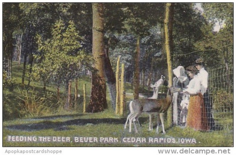 Iowa Cedar Rapids Feeding The Deer Bever Park