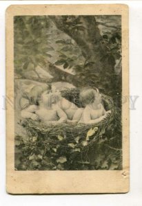 3110820 Nude MULTIPLE BABIES in Nest Vintage COLLAGE Photo PC