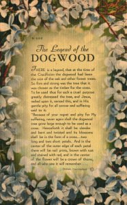 Vintage Postcard 1930's The Legend of the Dogwood  Pub. Asheville