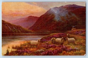 Scotland Postcard In The Highlands Sheeps Mountain River 1939 Oilette Tuck Art