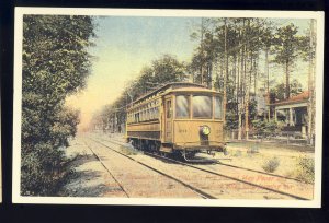 Duluth, Minnesota/MN Postcard, Park Point Traction Company Car #20, Reprint