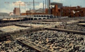 Sheep Pens. Union Stock Yards, South Omaha, NE, USA Railroad Train Depot Unused 