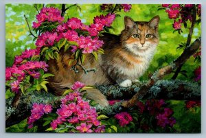 CUTE CAT on Blossom Tree Garden Callie by Persis Weirs New Unposted Postcard