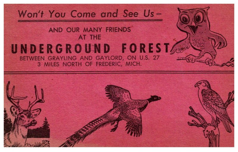 Underground Forest  Frederic MI , Advertisment